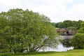 Springtime in Monaghan 2013 (13)